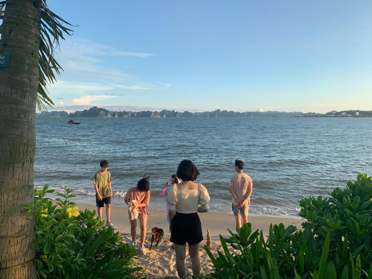 Tulip Homestay Hạ Long Ngoại thất bức ảnh